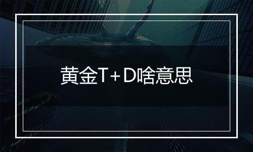 黄金T+D啥意思