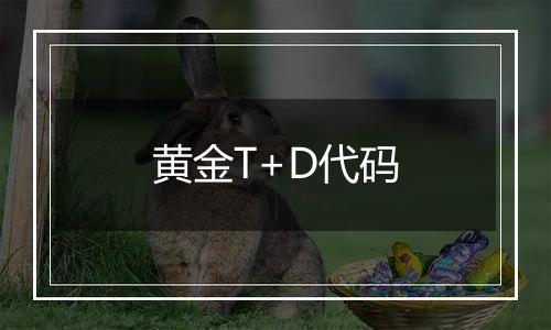 黄金T+D代码