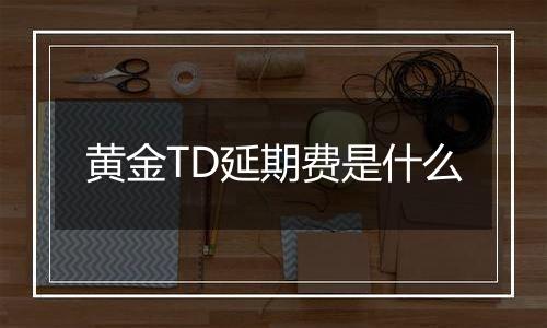 黄金TD延期费是什么
