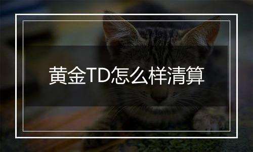 黄金TD怎么样清算