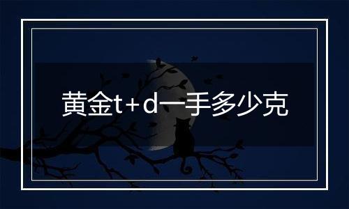 黄金t+d一手多少克