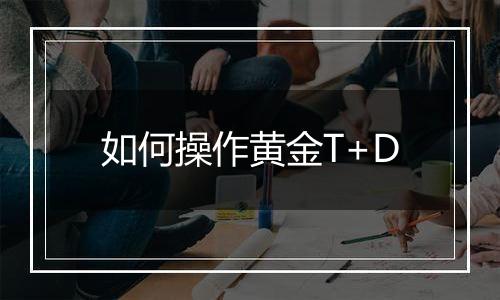 如何操作黄金T+D