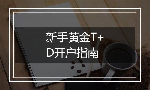 新手黄金T+D开户指南
