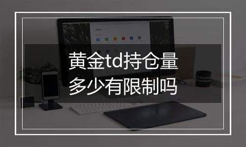 黄金td持仓量多少有限制吗