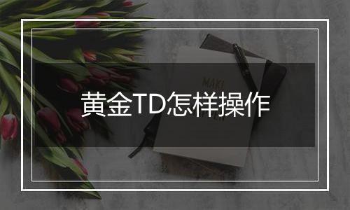 黄金TD怎样操作