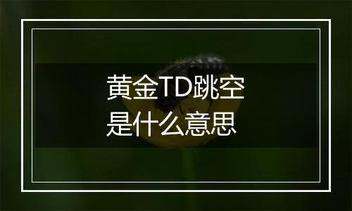 黄金TD跳空是什么意思
