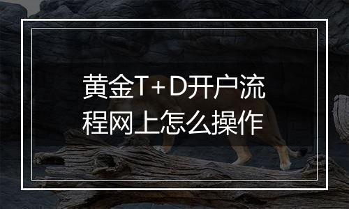 黄金T+D开户流程网上怎么操作