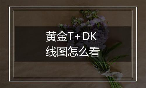 黄金T+DK线图怎么看