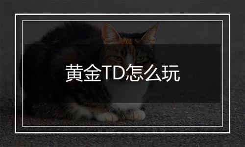 黄金TD怎么玩