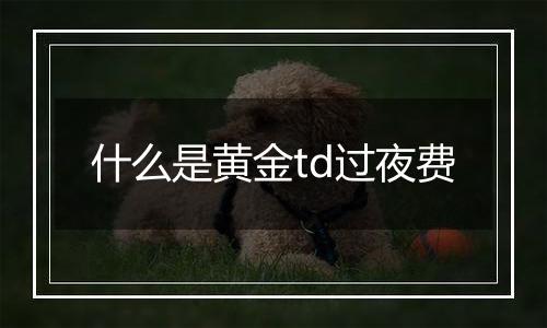 什么是黄金td过夜费