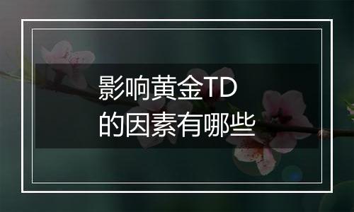 影响黄金TD的因素有哪些