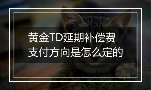黄金TD延期补偿费支付方向是怎么定的