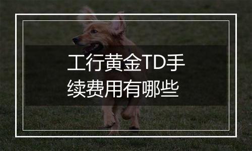 工行黄金TD手续费用有哪些