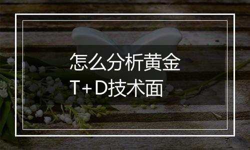 怎么分析黄金T+D技术面