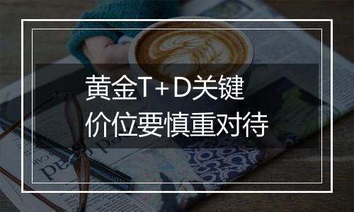 黄金T+D关键价位要慎重对待