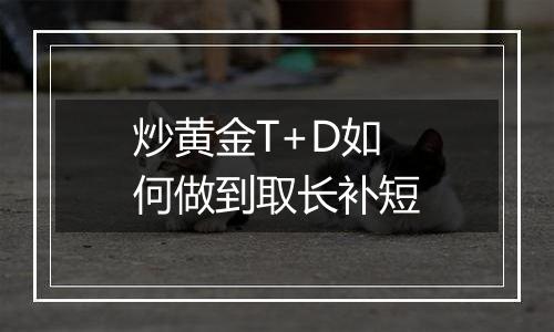炒黄金T+D如何做到取长补短