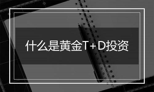 什么是黄金T+D投资