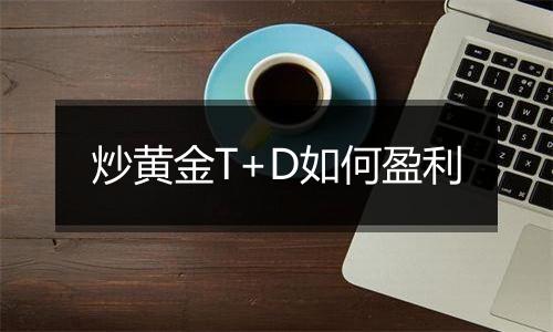 炒黄金T+D如何盈利