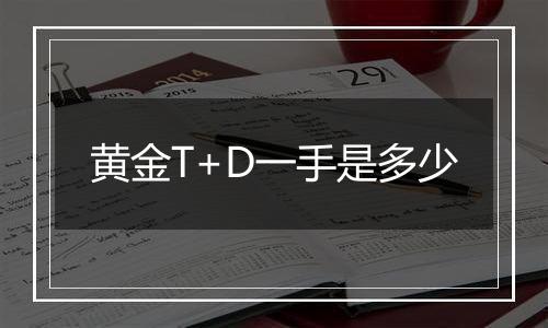 黄金T+D一手是多少