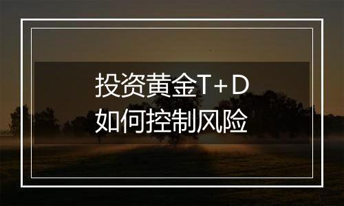 投资黄金T+D如何控制风险