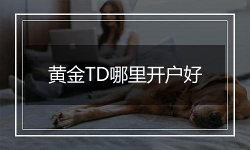 黄金TD哪里开户好