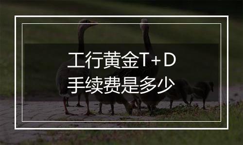 工行黄金T+D手续费是多少