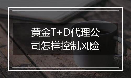 黄金T+D代理公司怎样控制风险