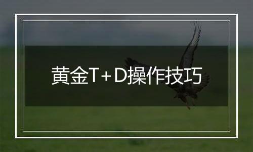 黄金T+D操作技巧