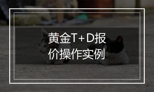 黄金T+D报价操作实例