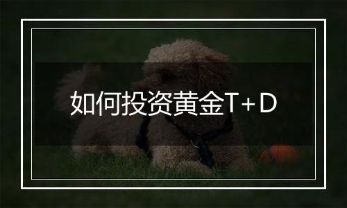 如何投资黄金T+D