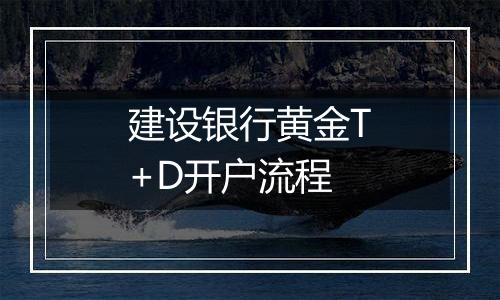 建设银行黄金T+D开户流程