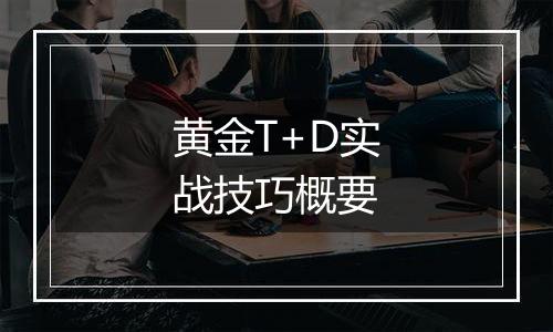 黄金T+D实战技巧概要