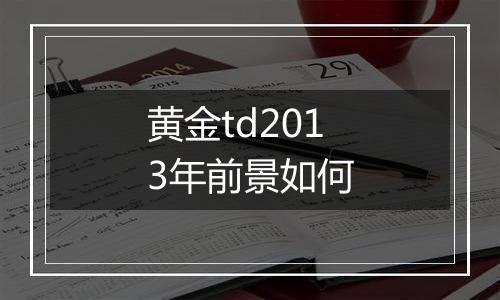 黄金td2013年前景如何