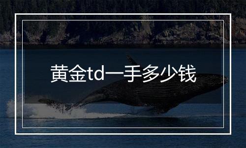 黄金td一手多少钱