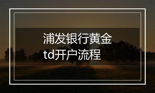 浦发银行黄金td开户流程