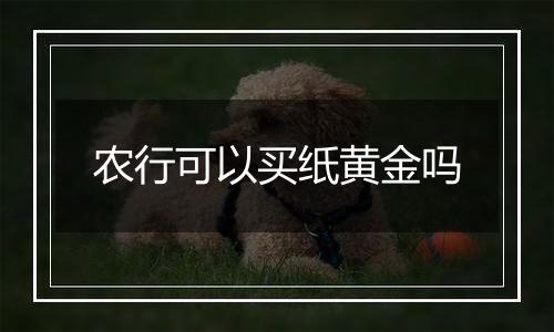 农行可以买纸黄金吗