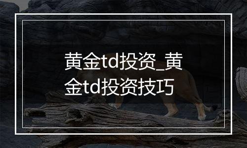 黄金td投资_黄金td投资技巧
