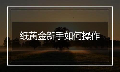 纸黄金新手如何操作