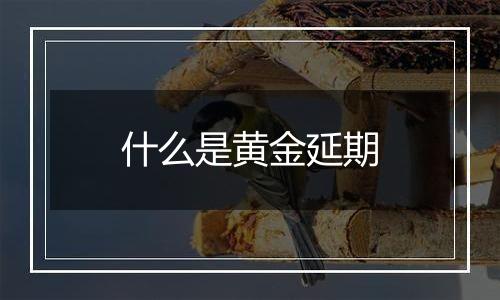 什么是黄金延期