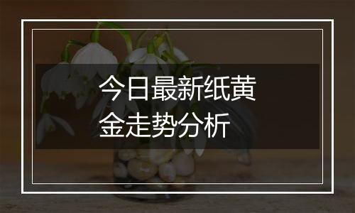 今日最新纸黄金走势分析