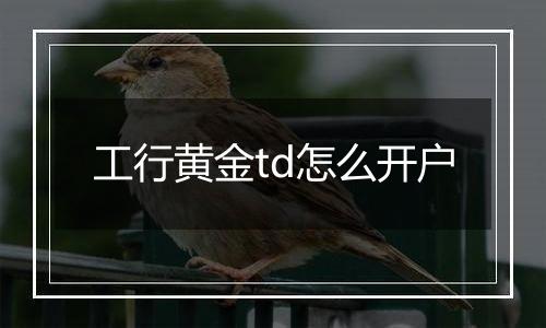 工行黄金td怎么开户