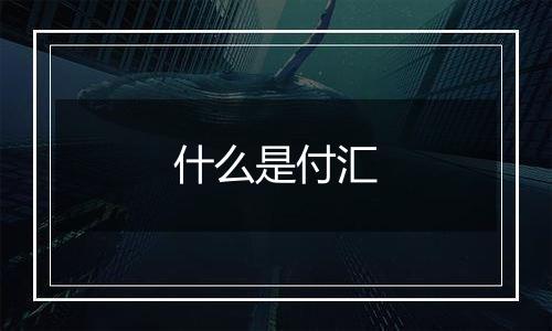 什么是付汇