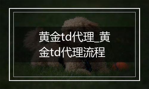 黄金td代理_黄金td代理流程