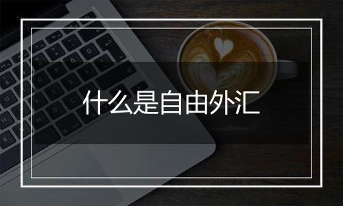 什么是自由外汇