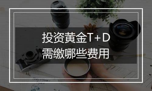 投资黄金T+D需缴哪些费用