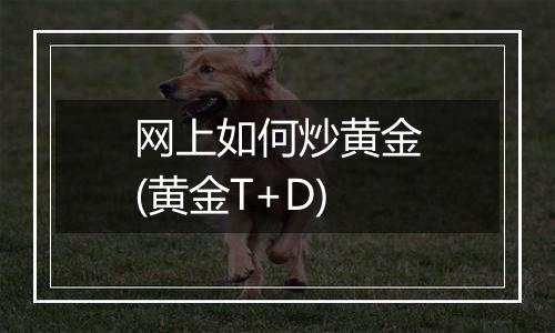 网上如何炒黄金(黄金T+D)