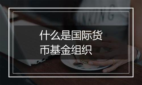 什么是国际货币基金组织