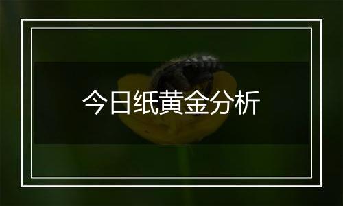 今日纸黄金分析