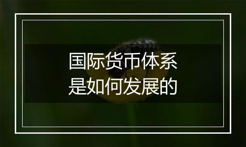 国际货币体系是如何发展的