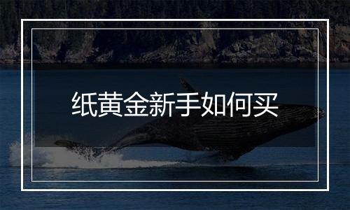 纸黄金新手如何买